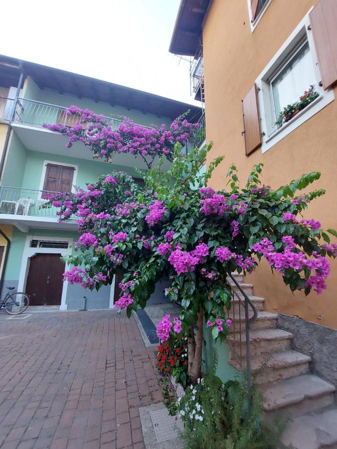 La Bougainville - Luxury Apartment Torbole Sul Garda Kültér fotó